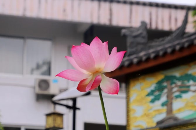 屏幕截图 2026-07-04 144354.jpg