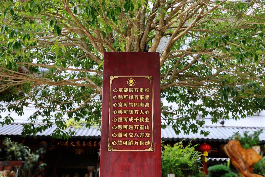 1757376825388146.jpg
